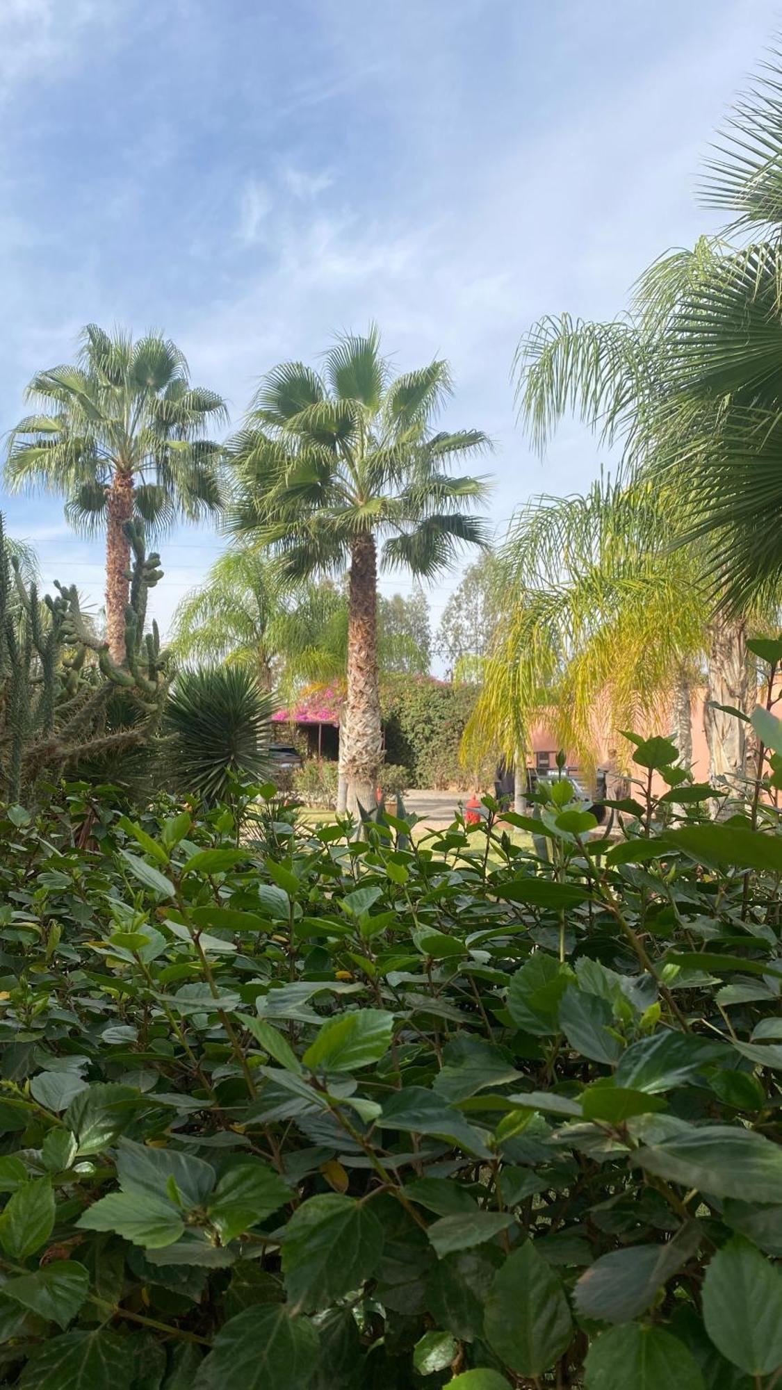 Hotel Le Rubis Oriental Marrakech Azib Oulad Lâdem Exteriér fotografie